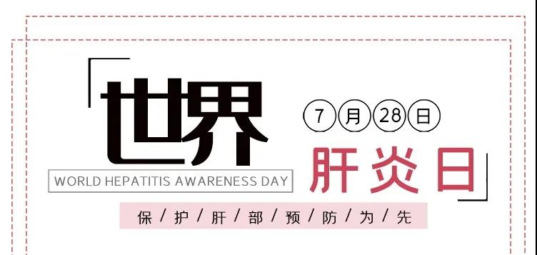 世界肝炎日——積極預(yù)防，主動檢測，規(guī)范治療，全面遏制肝炎危害！
